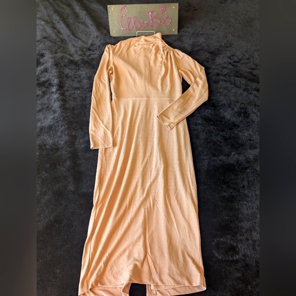 EUC Express Light Pink/Nude Long Sleeve Dress XXS
